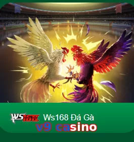 v9 casino